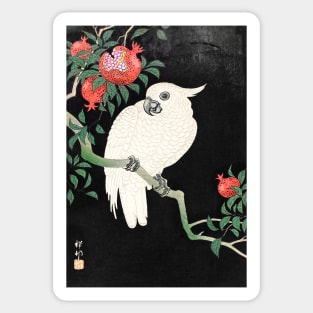 Cockatoo and Pomegranate by Ohara Koson Sticker